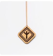 Руна Альгиз из Ясеня